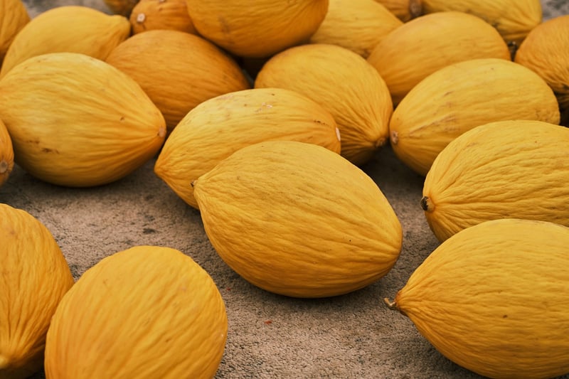 Seasonal Produce